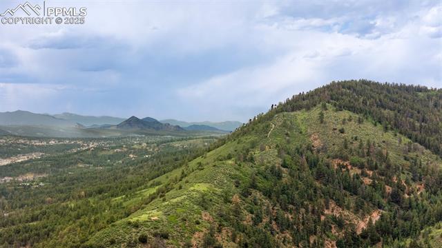 Mountain view featuring a heavily wooded area