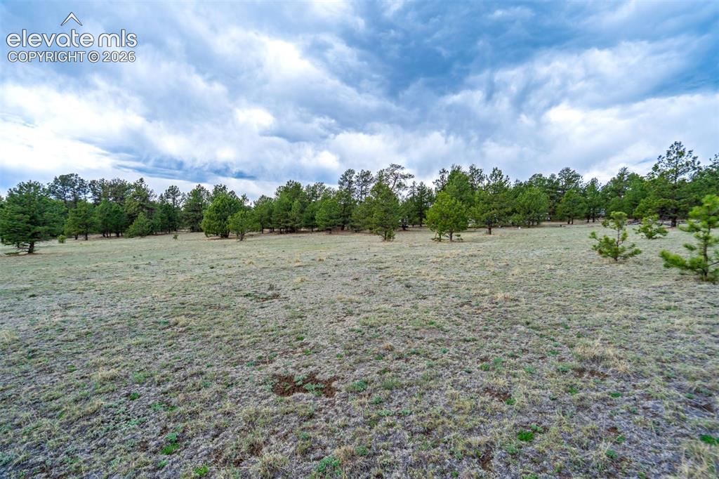 Photo 12 of Tract 103 Doe Valley Road, Guffey