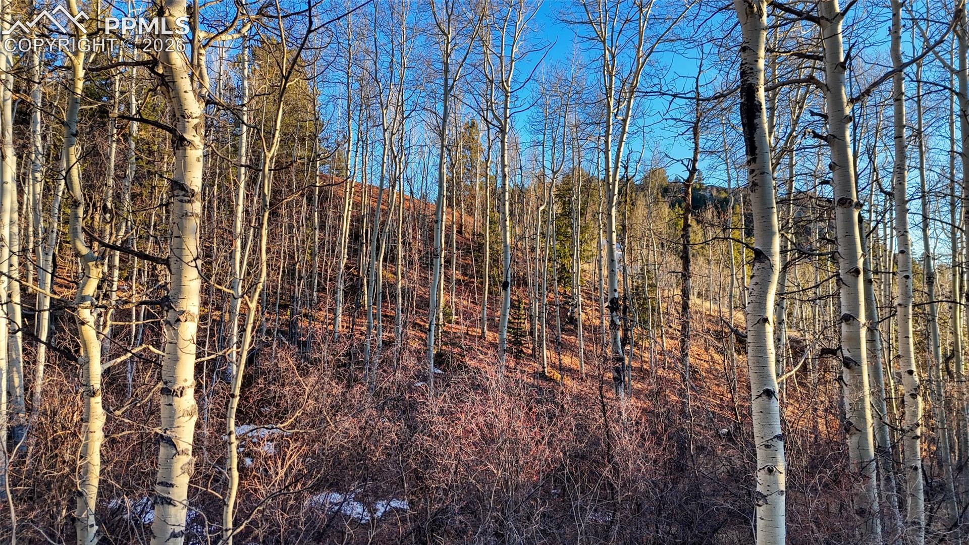 Photo 23 of 524 Buckhorn Road, Cripple Creek
