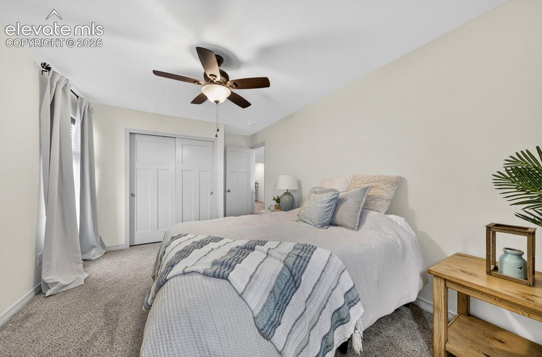 New carpet, ceiling fan, closet