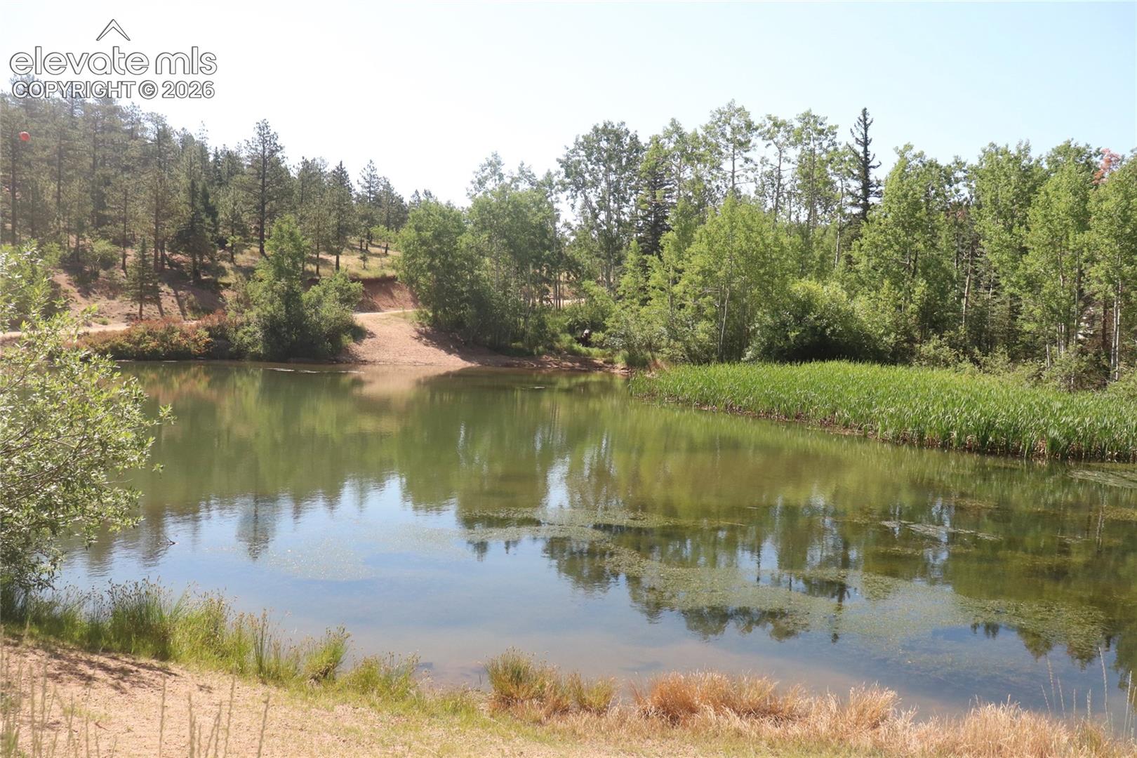 286 Coffee Rd, Manitou Springs, CO 80829