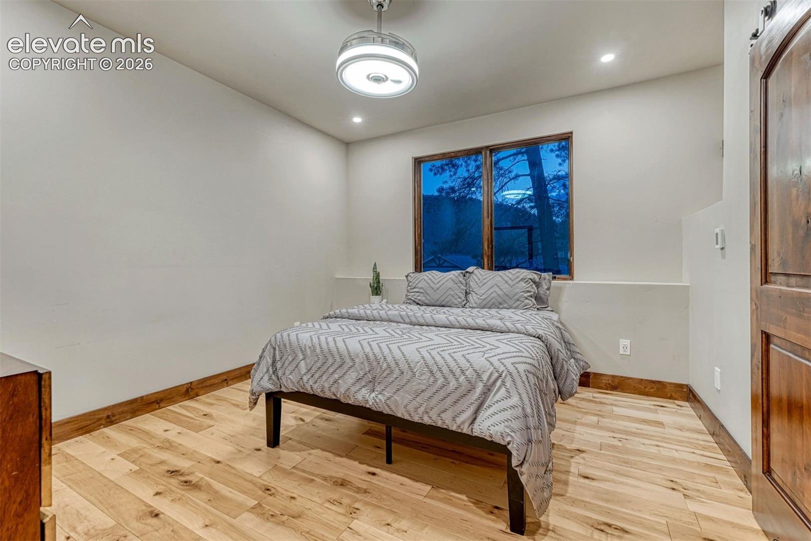 Lower Level bedroom