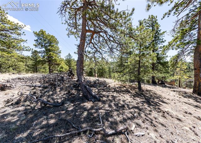 View of undeveloped land