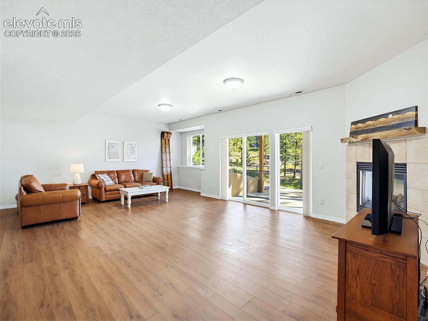 Lower level living room with fireplace