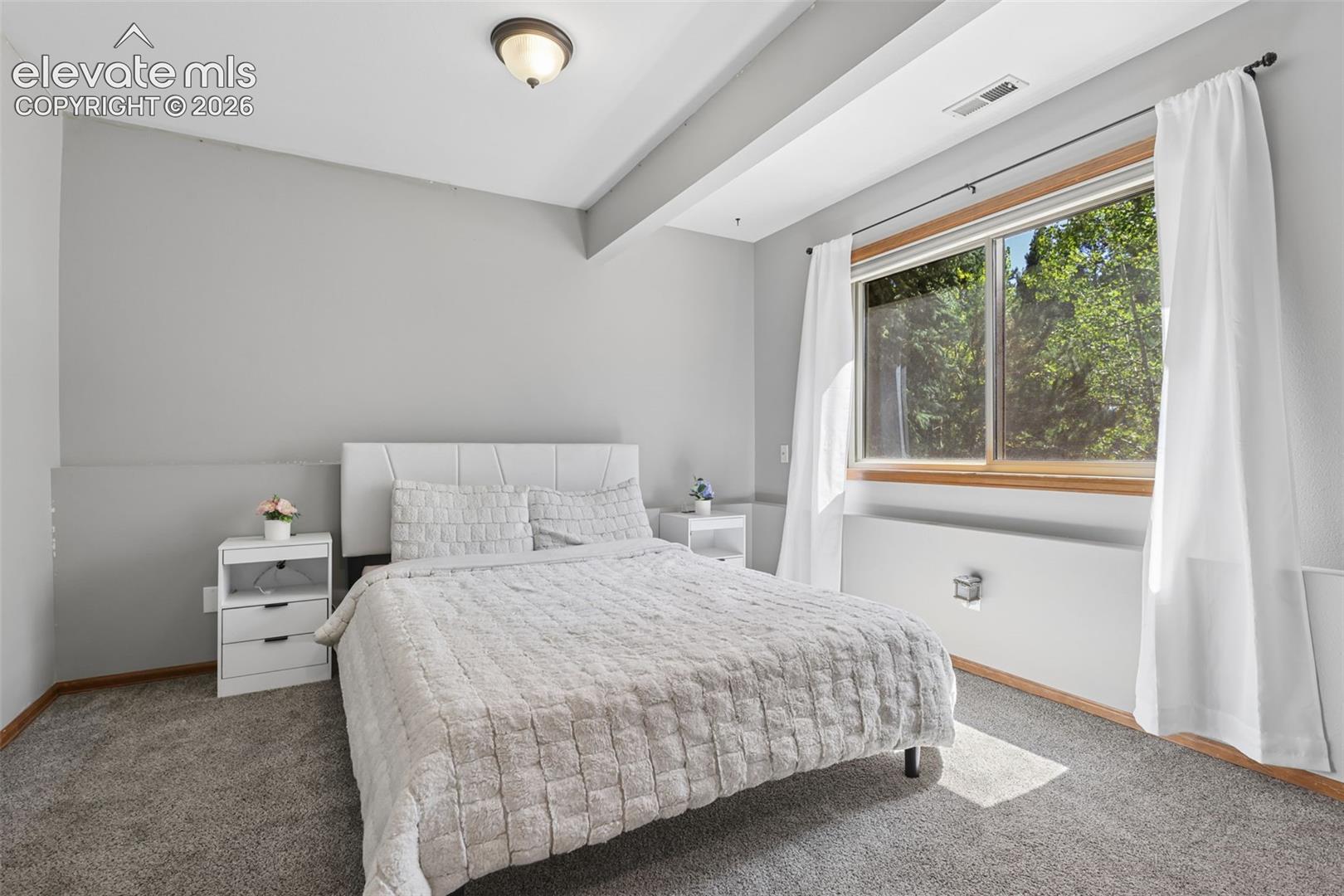 Wall-to-wall carpeting and a ceiling-mounted light fixture