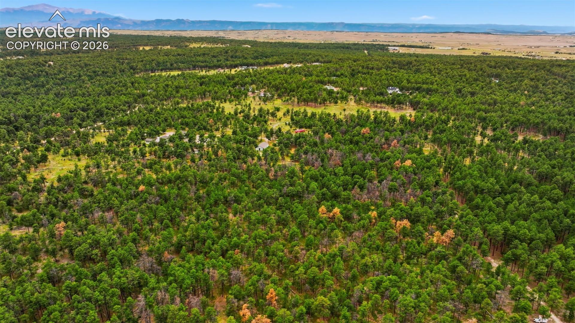 Photo 6 of 17374 Goshawk Road, Colorado Springs