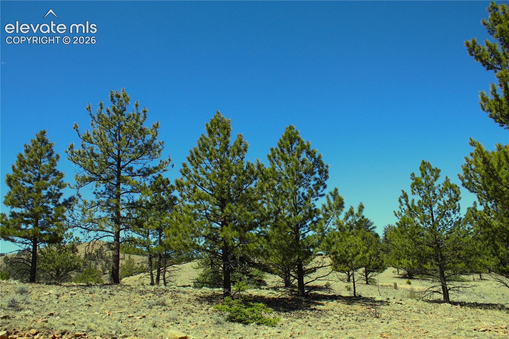 12451 Us 24 Hw, Hartsel, CO 80449