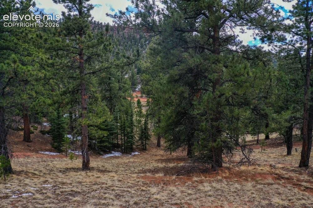 View of nature featuring a forest view