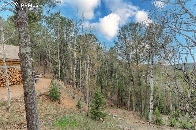 847 Timber Ridge Rd, Divide, CO 80814