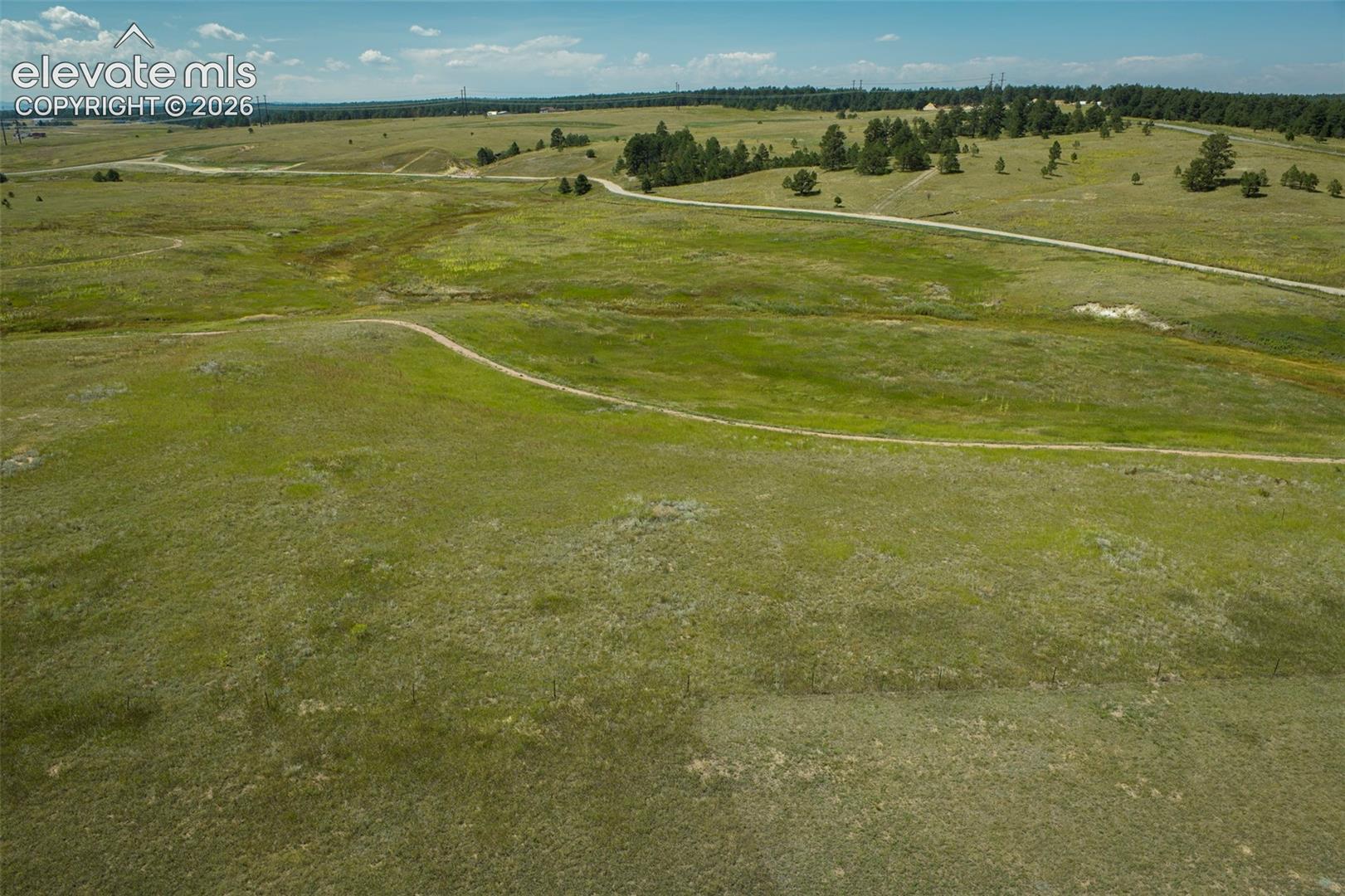 Expansive grassy terrain featuring multiple pathways and scattered mature trees