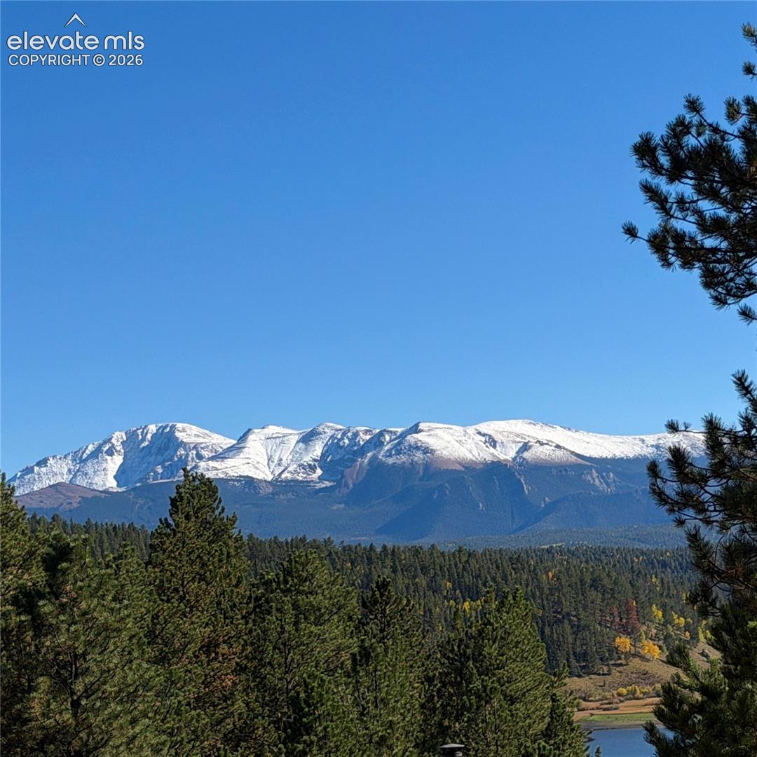 Snow-capped mountain range with a clear blue sky, dense evergreen forest, and a body of water