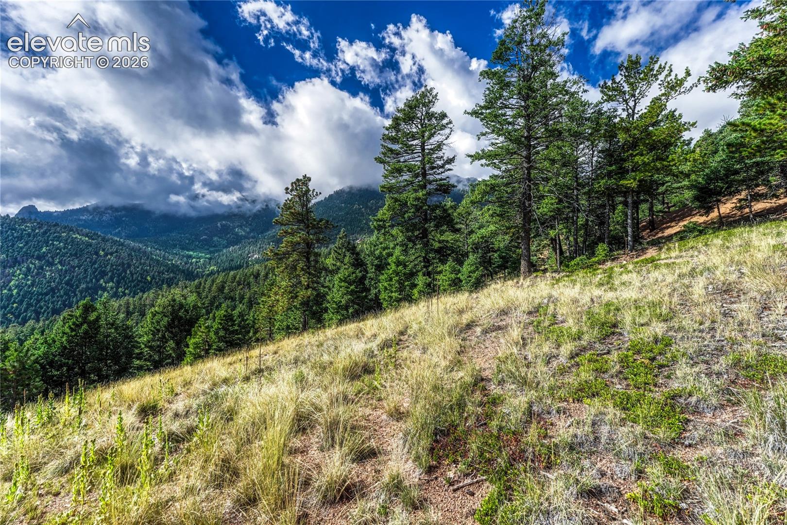 Mountain views from the lot