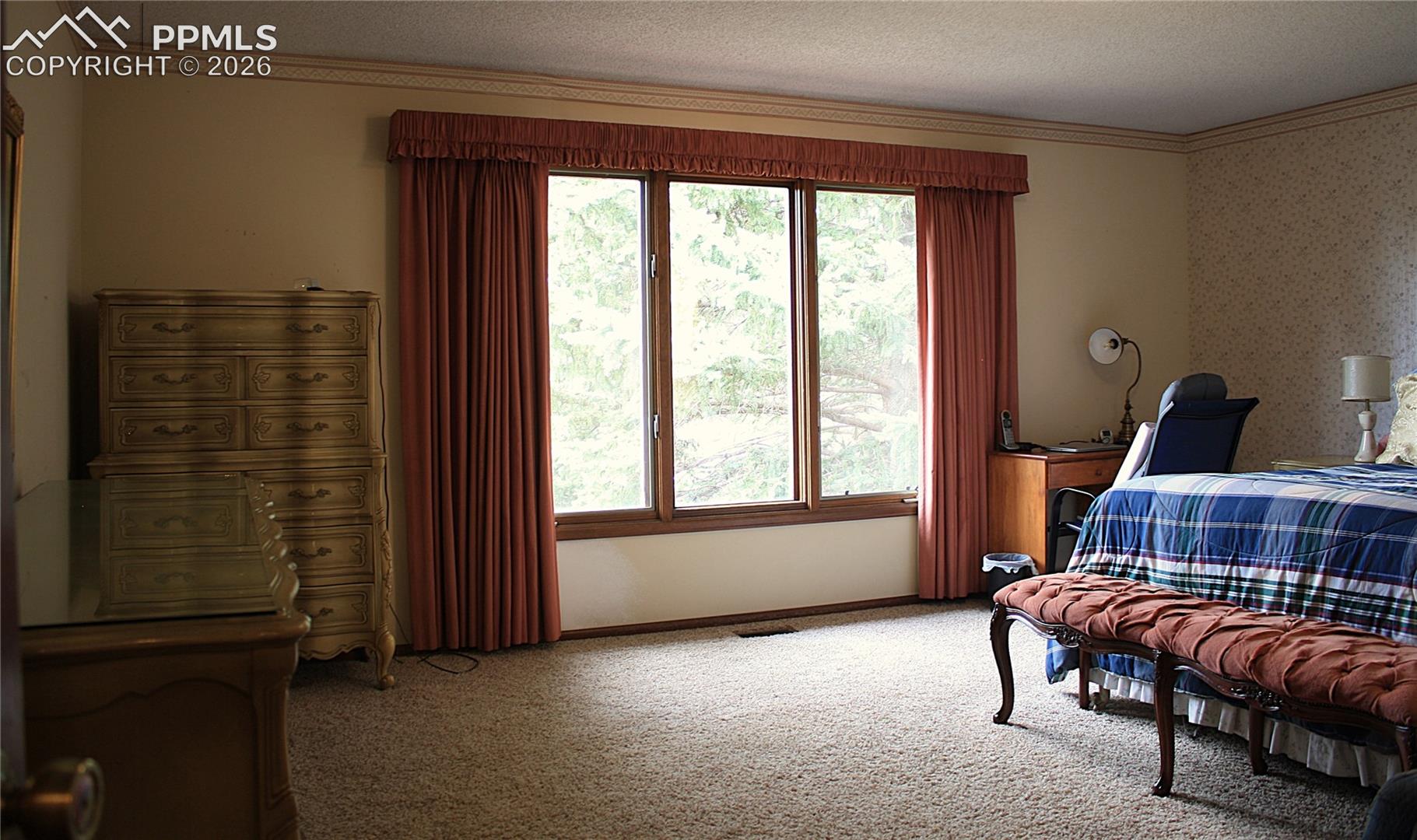 Primary Bedroom - Pikes Peak View