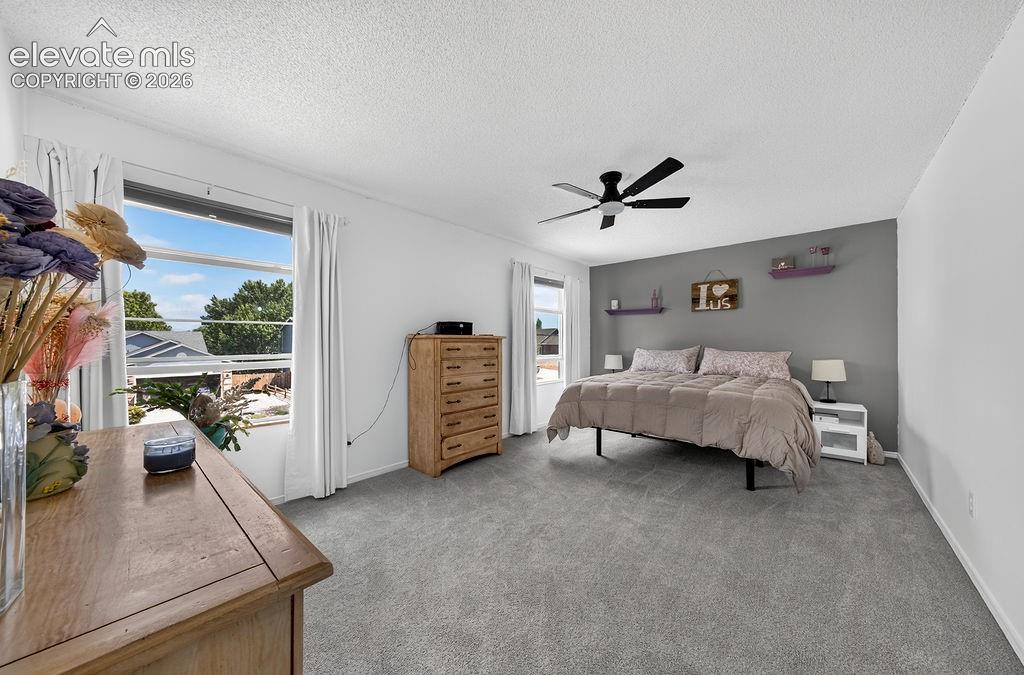 Spacious room with light-colored carpeting, multiple windows, a ceiling fan, and a neutral wall color palette
