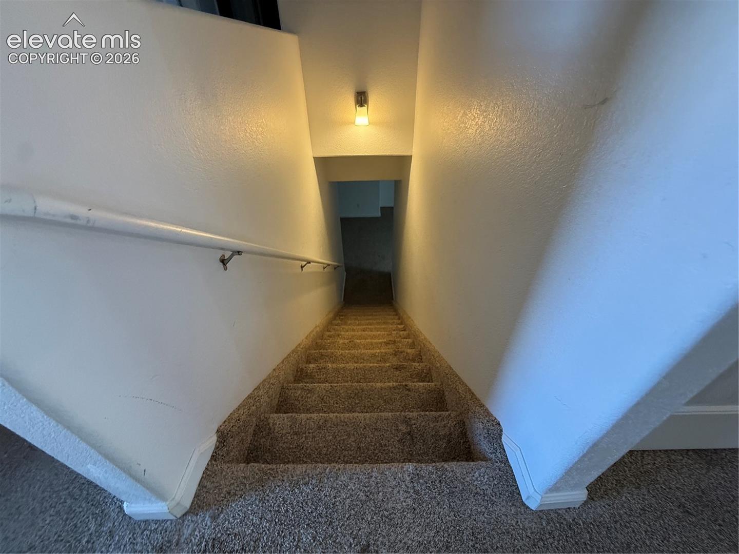 Staircase featuring wall-to-wall carpet, a white wall-mounted handrail, and a single bulkhead-mounted light fixture