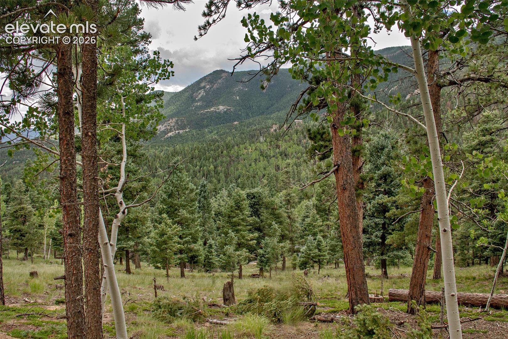 Photo 21 of 266 Aspen Ridge Road, Manitou Springs