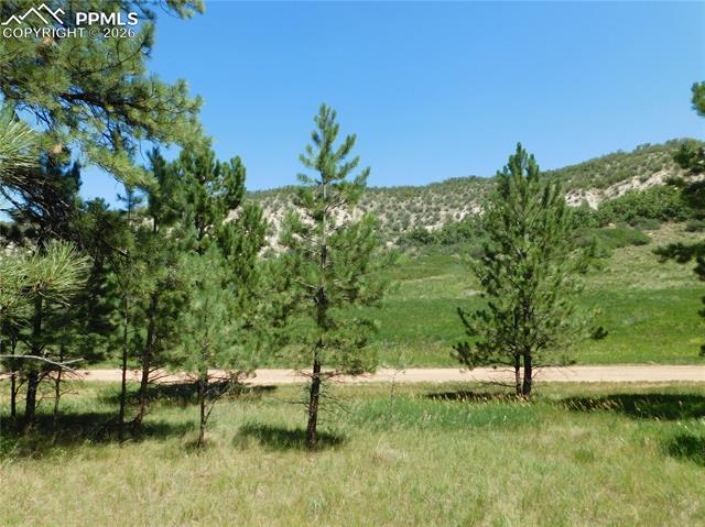 Photo 32 of 4668 Comanche Drive, Larkspur
