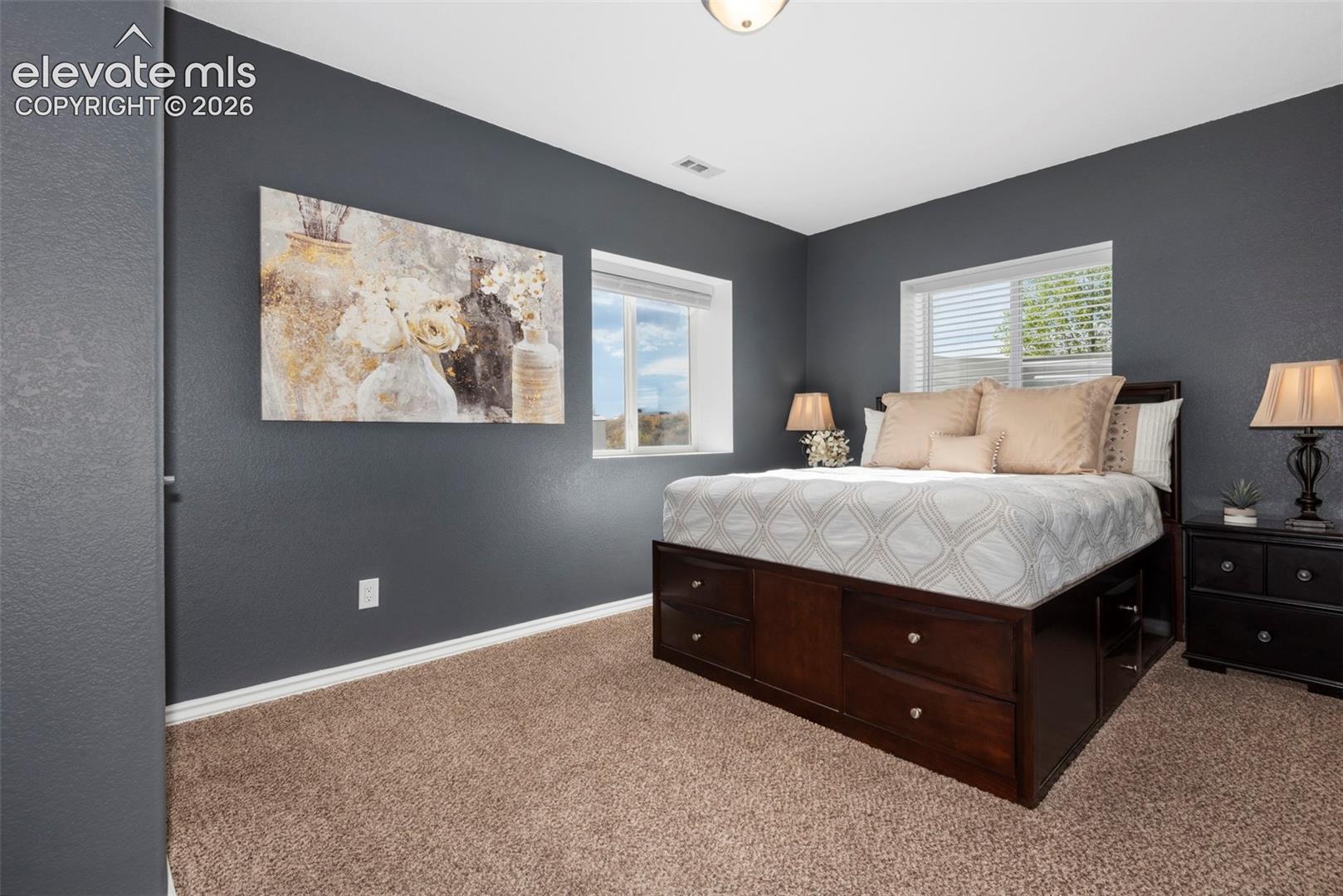Large Second Basement Bedroom with Walk-in Closet 