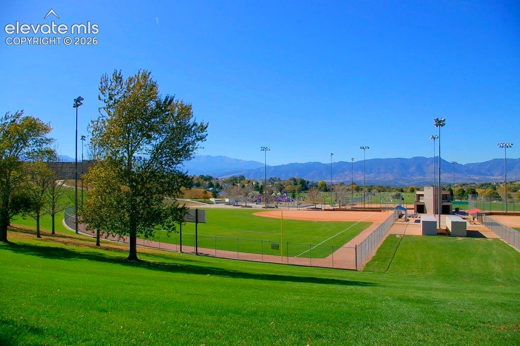 Photo 42 of 6151 Treeledge Drive, Colorado Springs