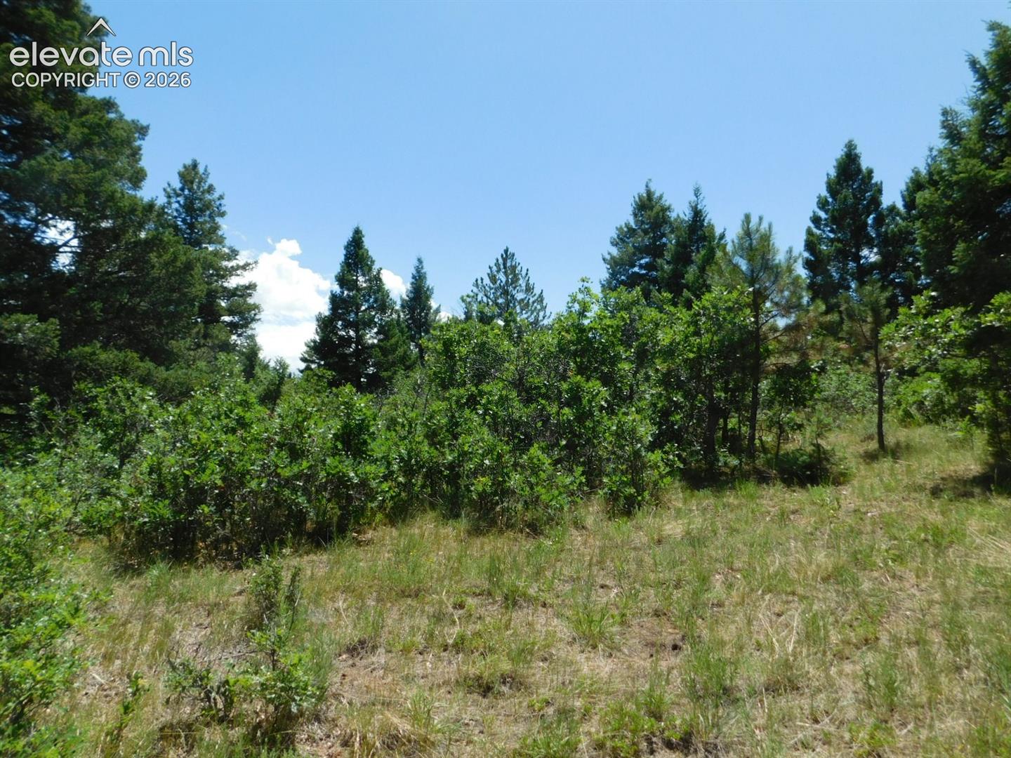 Photo 38 of 6447 Thunderbird Road, Larkspur