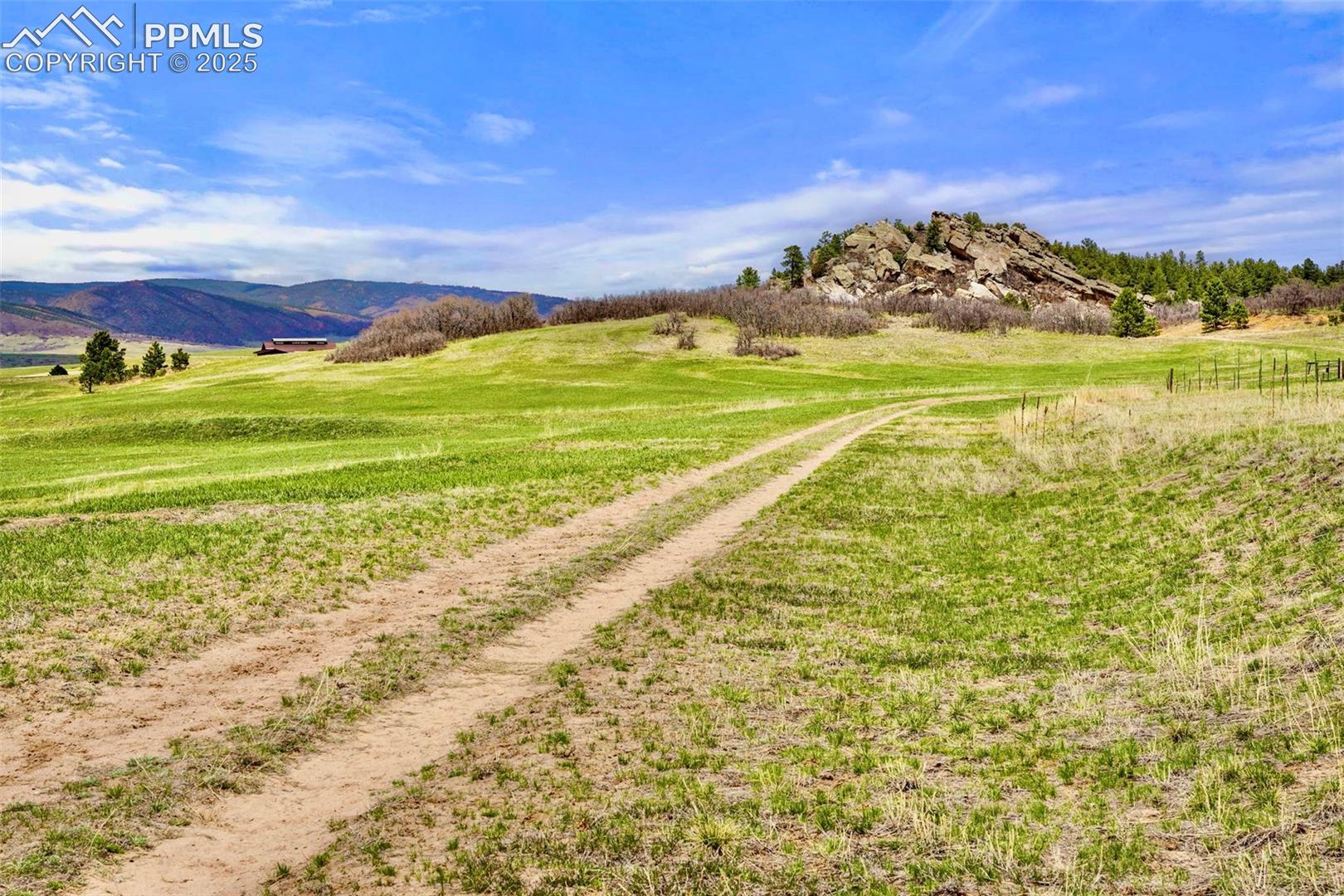 Photo 9 of 2801 Verbena Drive, Larkspur