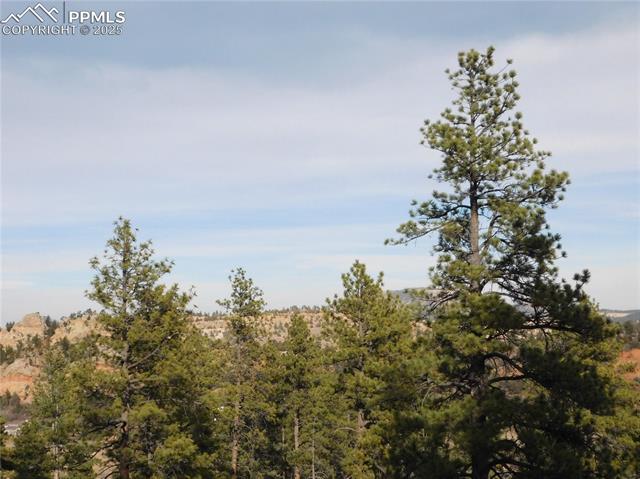 View from Lot