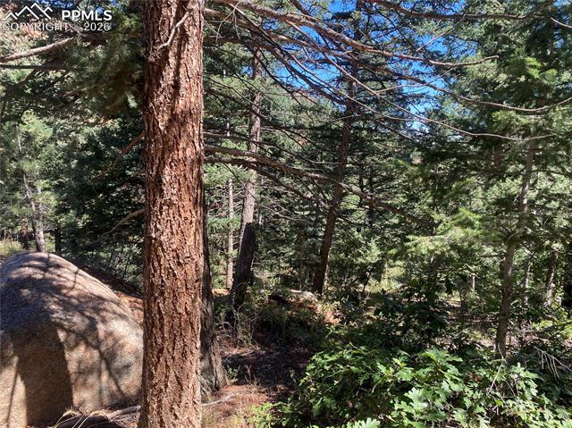 Photo 8 of 231 Upper Sun Valley Road, Manitou Springs