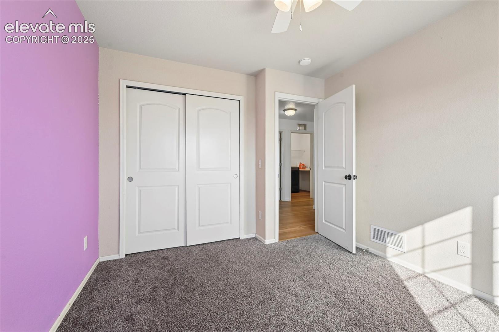 Interior space featuring neutral and accent-colored walls, carpeted flooring, two-panel interior doors, and a ceiling-mounted light fixture