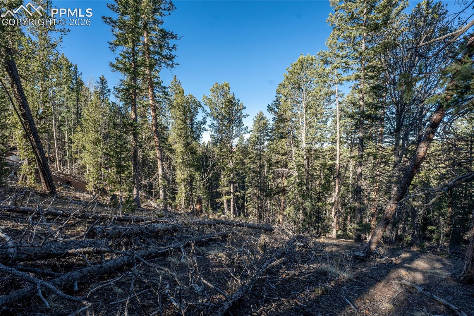 Photo 10 of 565 Fairview Drive, Cripple Creek