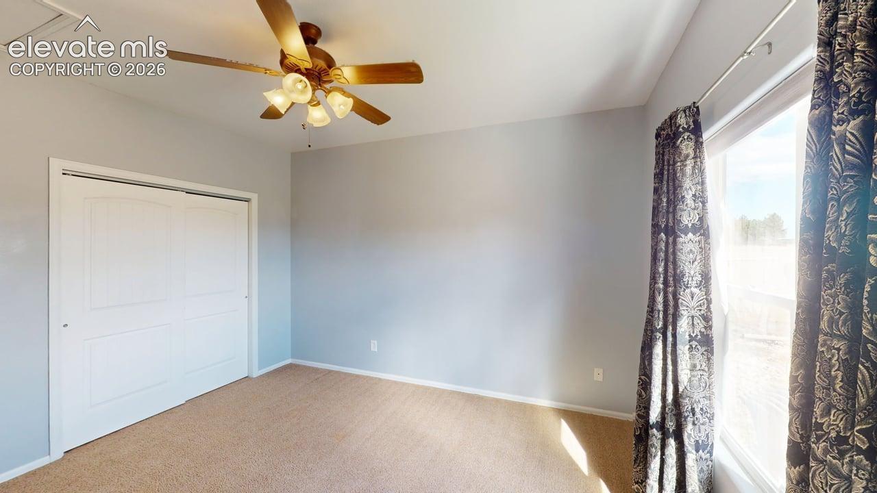 Neutral wall paint and carpeting throughout
