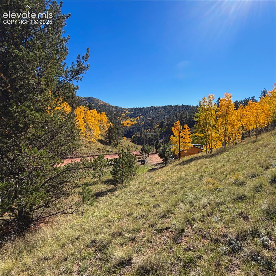 Photo 14 of 200 Beaver Pond Road, Divide