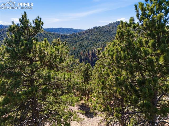 Photo 16 of 11070 W Highway 24, Cascade