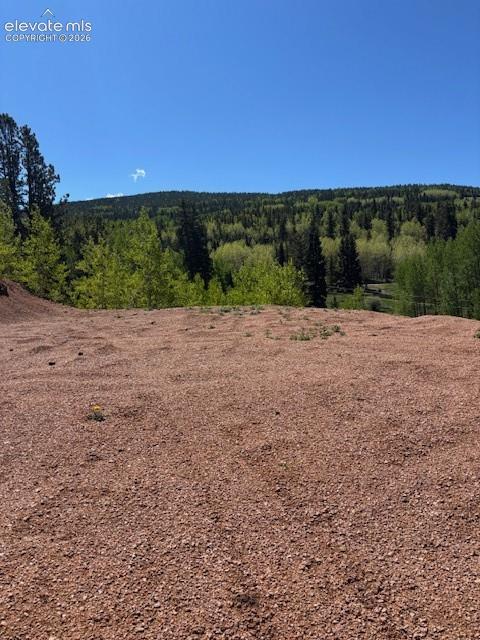 Photo 10 of 124 Yorktown Road, Cripple Creek