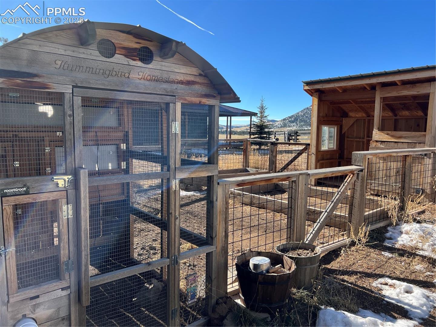 Chicken Coop