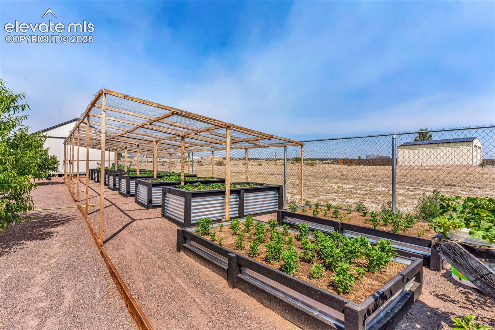 Above ground garden