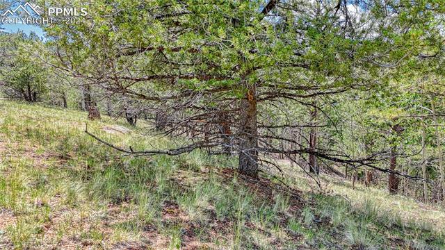 Photo 20 of 24 Wild Horse Circle, Cripple Creek