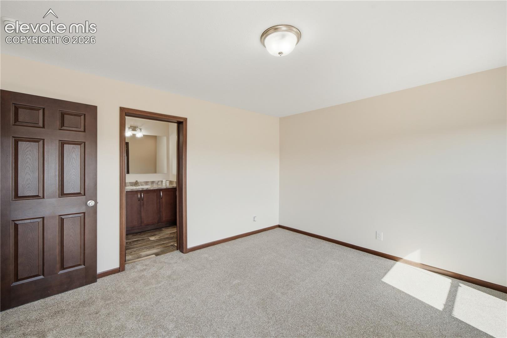 Neutral wall color, carpeted flooring, paneled interior doors, flush mount ceiling light, and dark wood-finish trim