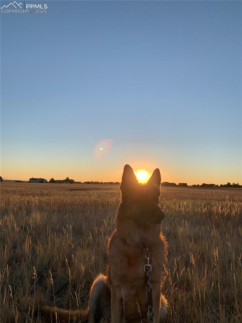 View of nature at dusk