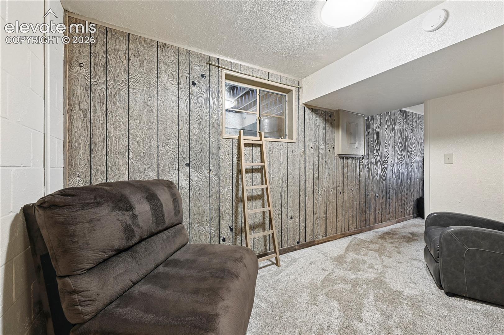 Wall paneling with a wood-finish, light-colored carpet, and a ceiling-mounted light fixture