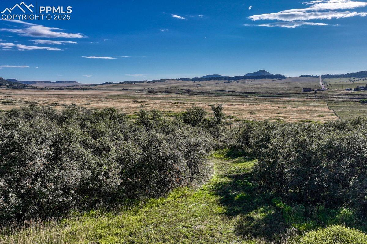 Photo 6 of 15989 S Perry Park Road, Larkspur
