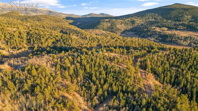 Photo 12 of 1289 Yorktown Road, Cripple Creek