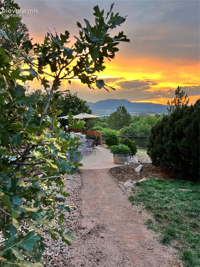 Photo 41 of 254 All Sky Drive, Colorado Springs