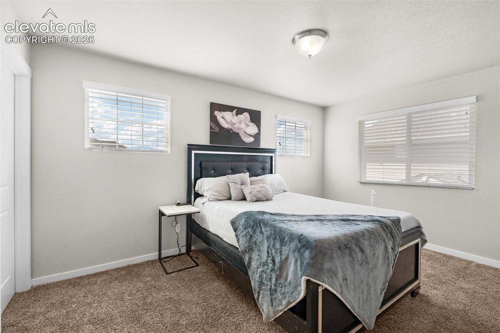 Neutral-toned walls, high-pile carpeting, dual windows with horizontal blinds, and a dome-style flush-mount ceiling light