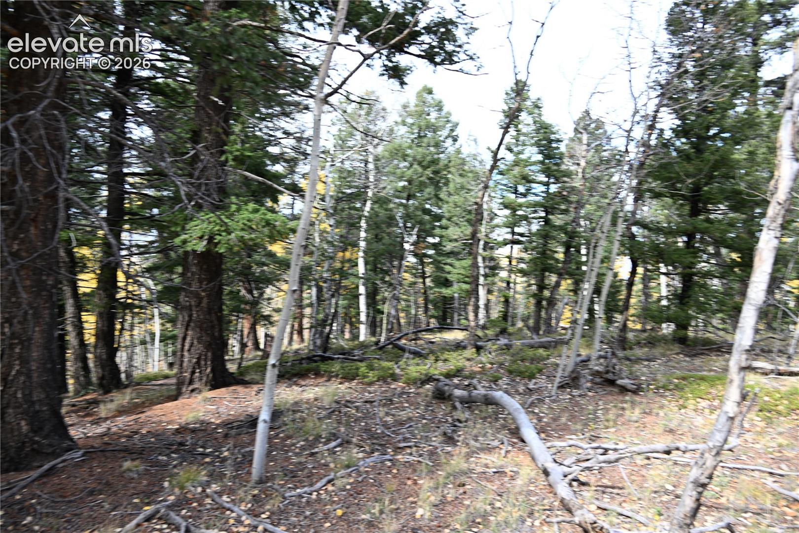 Photo 10 of 1020 Princess Road, Cripple Creek