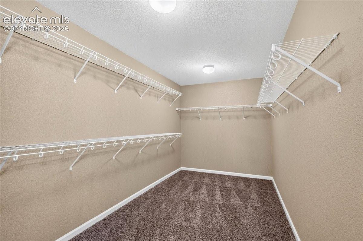Ample closet space with wire shelving, integrated hanging rods, and carpet flooring