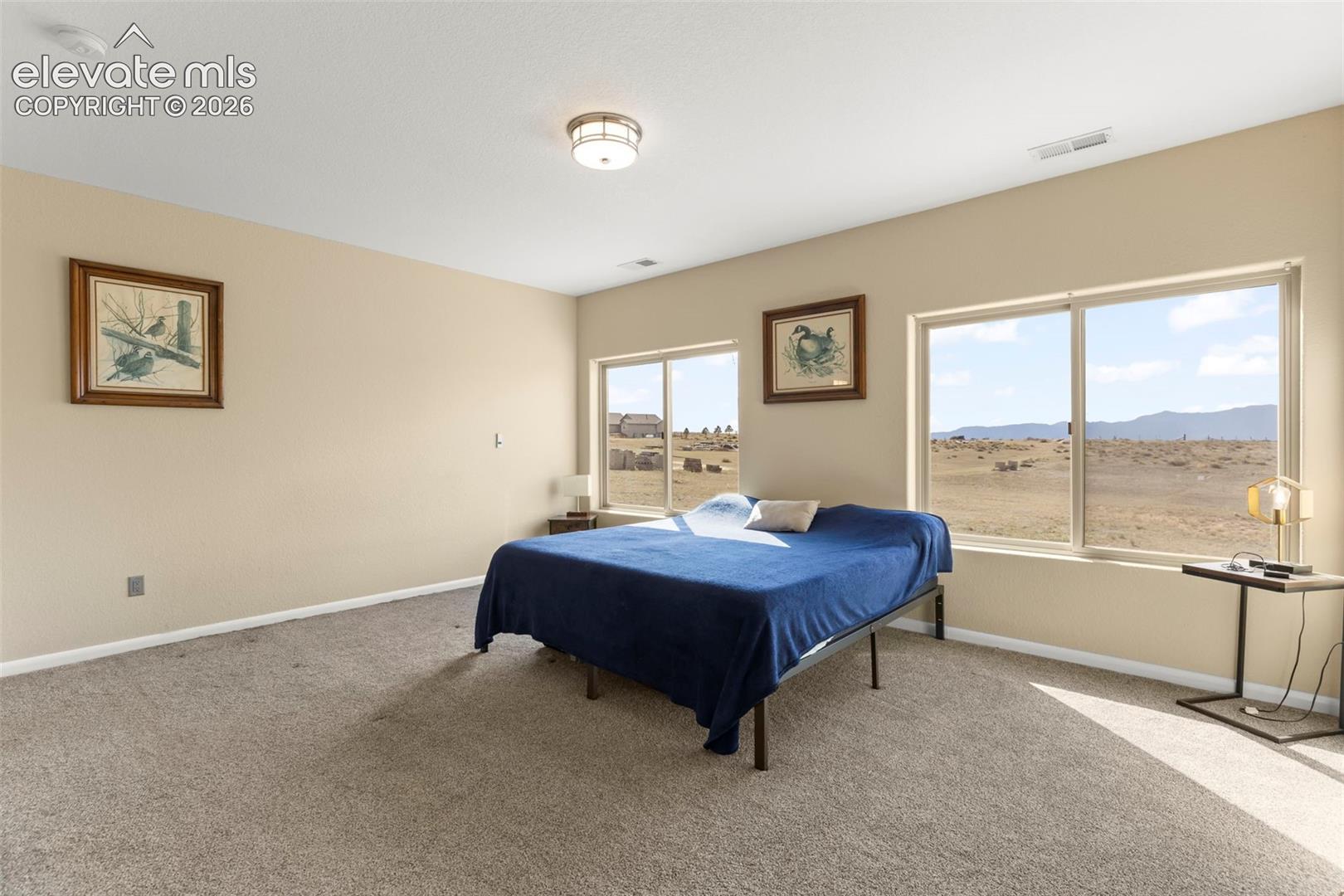Spacious interior featuring neutral wall tones, wall-to-wall carpeting, two large windows providing natural light, and a flush-mount ceiling light fixture