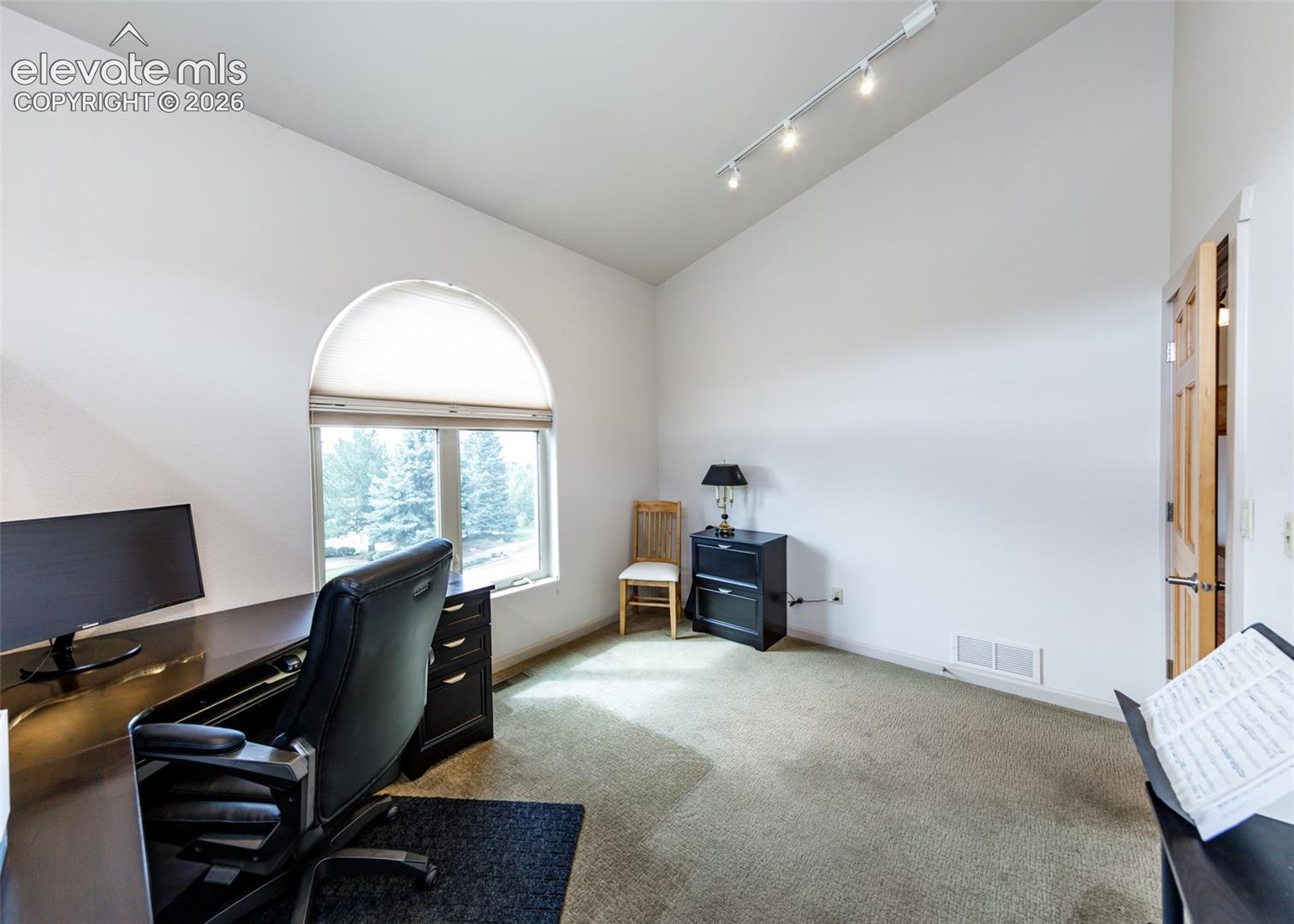 2nd main level bedroom with vaulted ceiling, track lighting, arched window and 6-panel wood doors