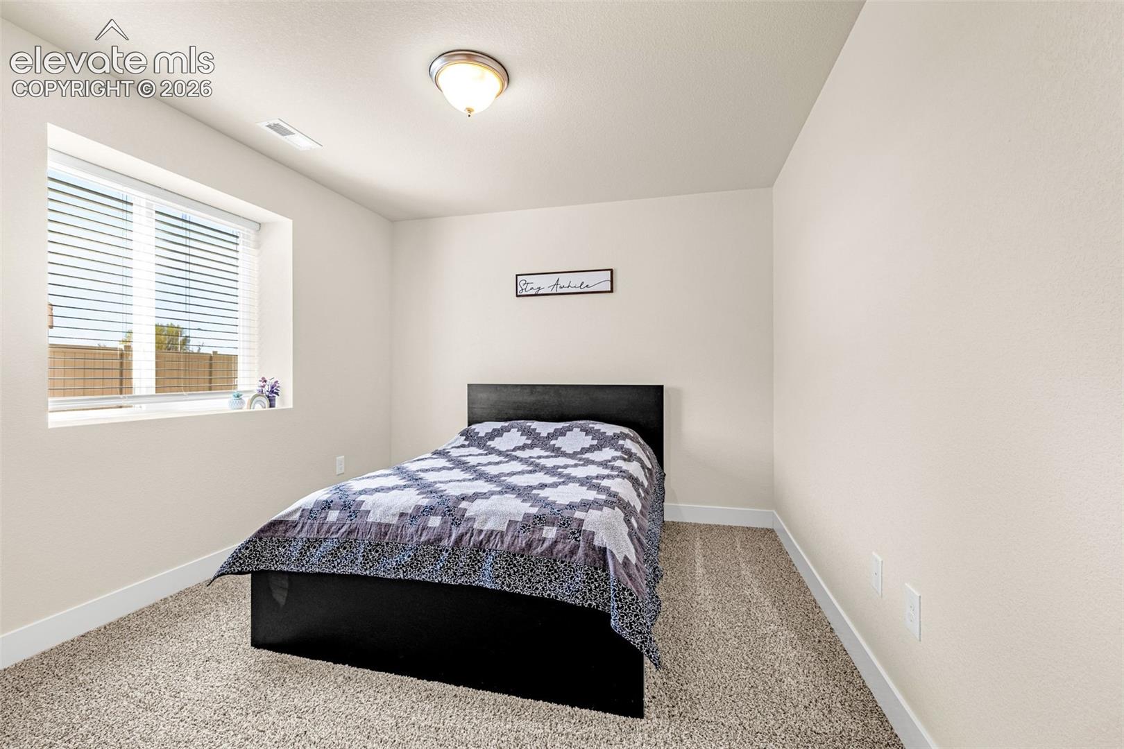 Neutral wall paint, ceiling-mounted light fixture, window with blinds, and carpeting