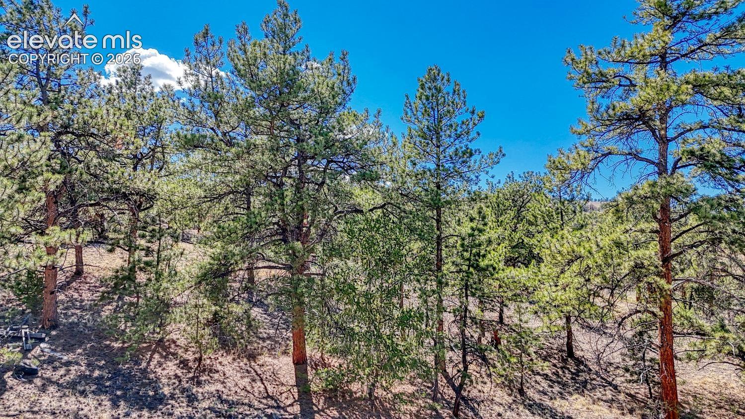 Photo 18 of Lot 11 Highway 9, Hartsel
