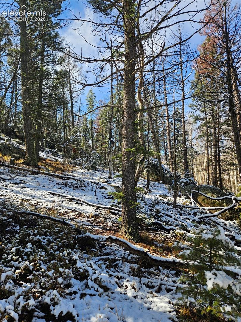 Wooded lot featuring mature evergreen trees, native rock outcroppings, and natural, sloped terrain
